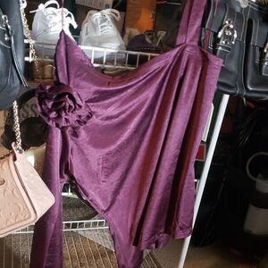 Elegant Purple Velvet Dress